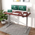 Maidesite Standard Series 55 inch Adjustable Electric Standing Desk Elite Edition